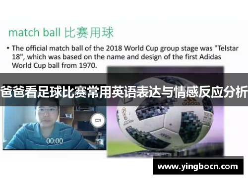 爸爸看足球比赛常用英语表达与情感反应分析